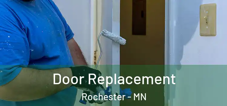  Door Replacement Rochester - MN
