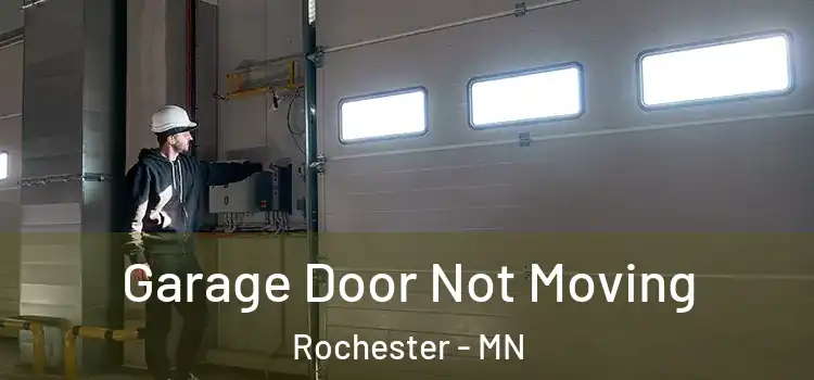  Garage Door Not Moving Rochester - MN